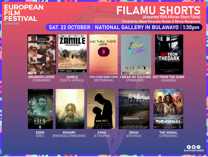 European Film Festival in Zimbabwe