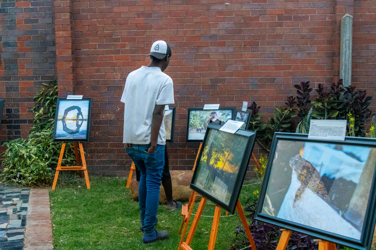 European Film Festival in Zimbabwe