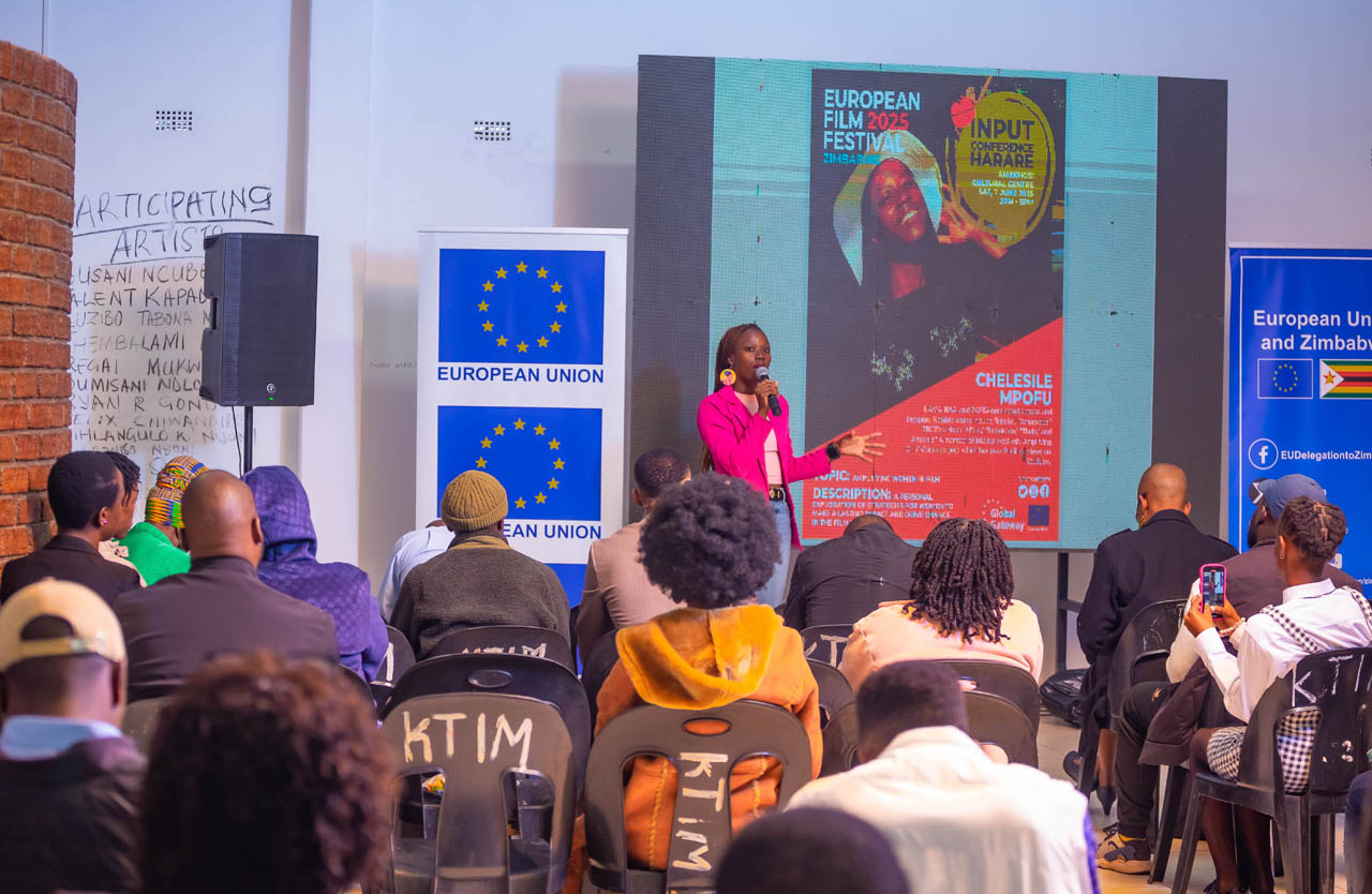 European Film Festival in Zimbabwe