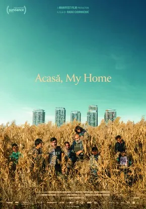 Poster for Acasă, My Home