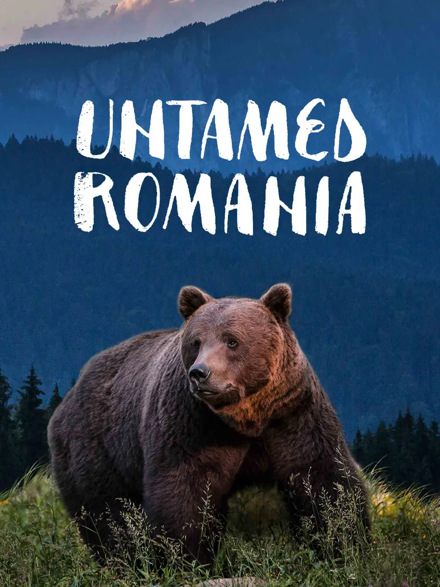 Poster for Untamed Romania